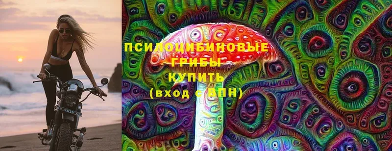 Псилоцибиновые грибы мухоморы  Братск 