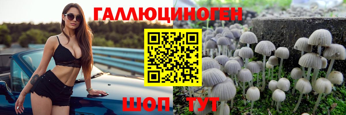 Братск  хочу наркоту  Вход с VPN  Галлюциногенные грибы мицелий  Псилоцибиновые грибы Psilocybine cubensis 